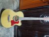 Deviser Acoustic Guitar with bag